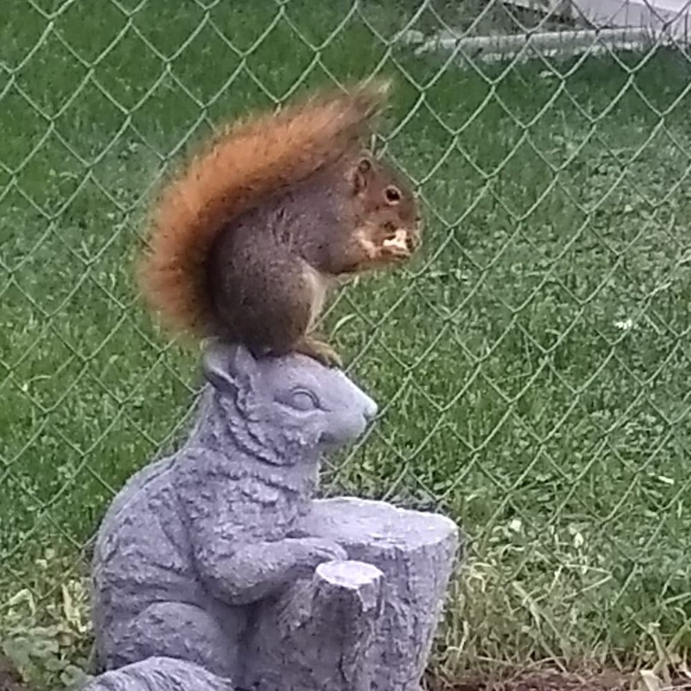 Meet your Posher, Carol